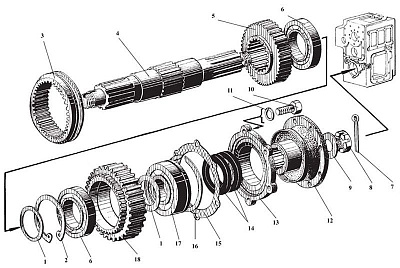 Шестерня (вала выходного) У35.605-00.551 (У35.615-01.407) - Gidrorul