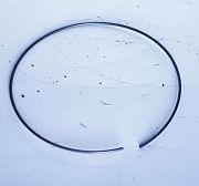 Кольцо пружинное У2210.20Н-2-03.109 - Gidrorul