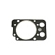 Прокладка головки блока цилиндра (дв. А-01МИ) 448-06с8-03 - Gidrorul