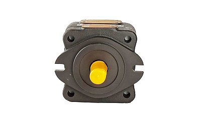 Насос пластинчатый PFE-42056/3DT ATOS - Gidrorul
