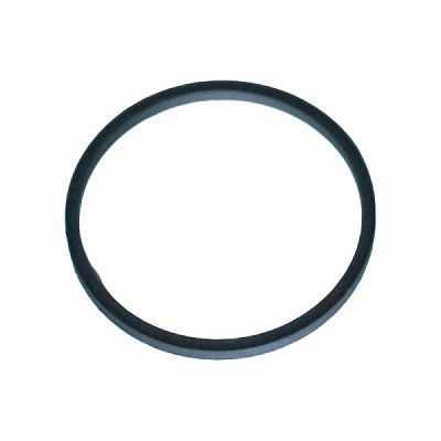 Кольцо уплотнительн. У35.615-01.059 (У35.605.00.538) (44*41*3 фторопласт) - Gidrorul